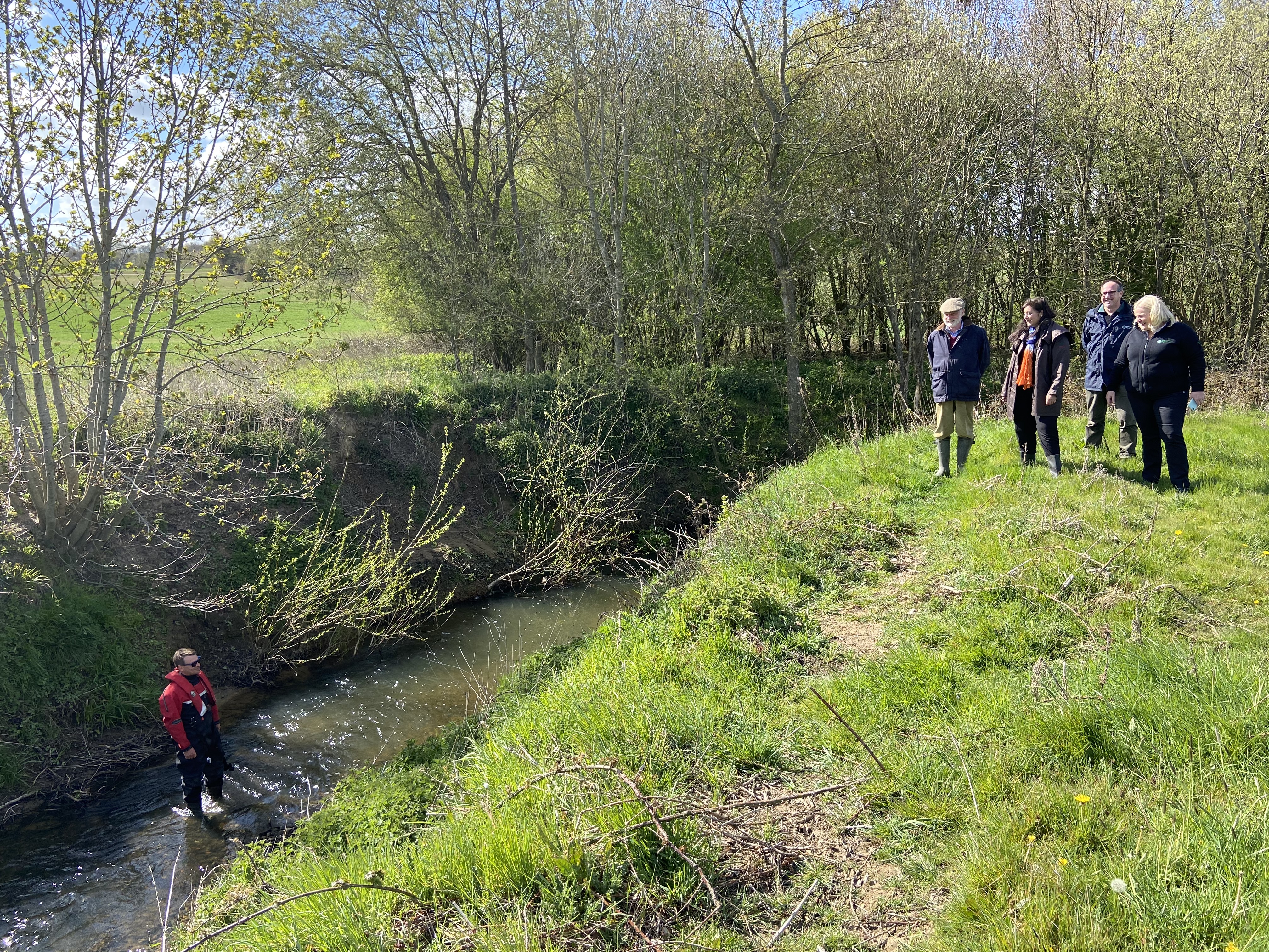 Eridge stream