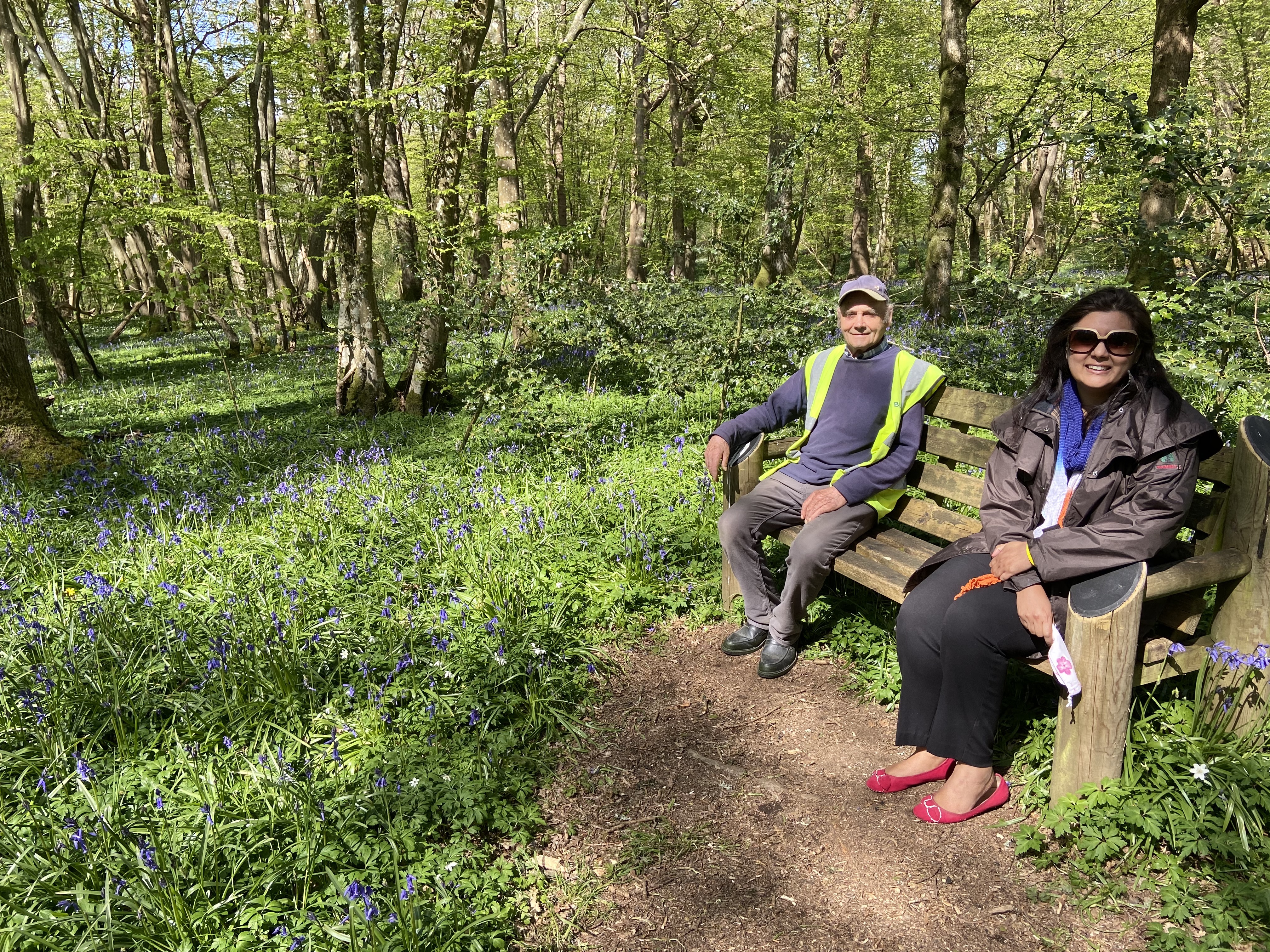 Bluebell Walk