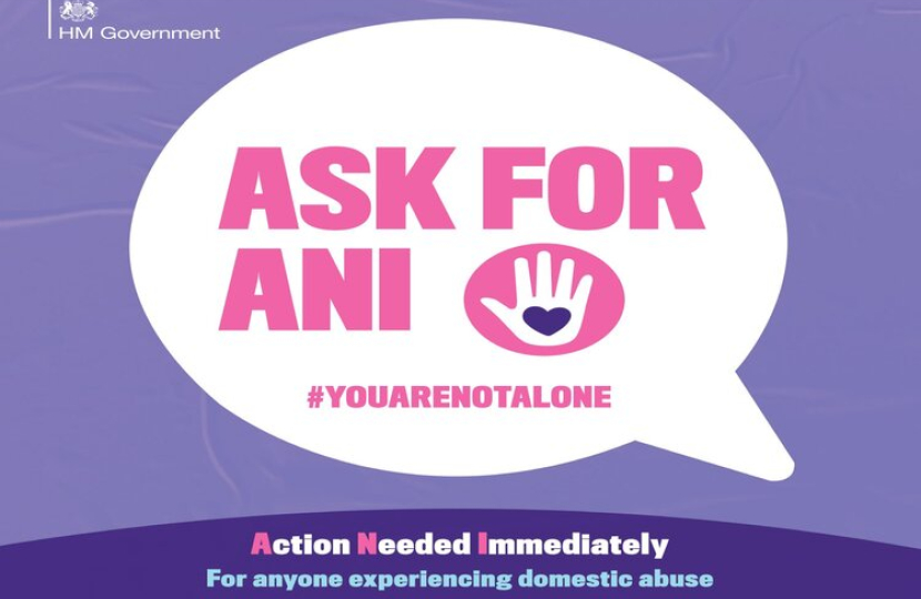 Ask for Ani