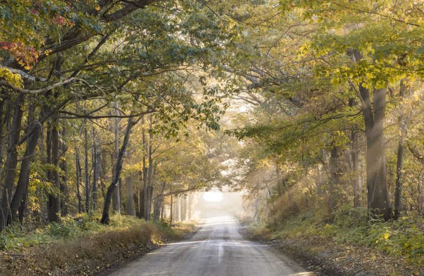 Road