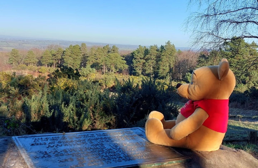 Winnie the Pooh
