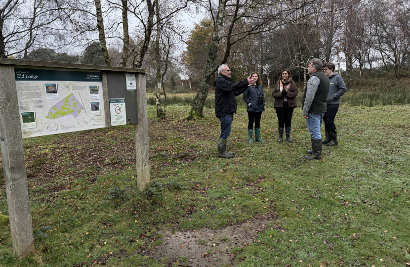 Old Lodge nature reserve