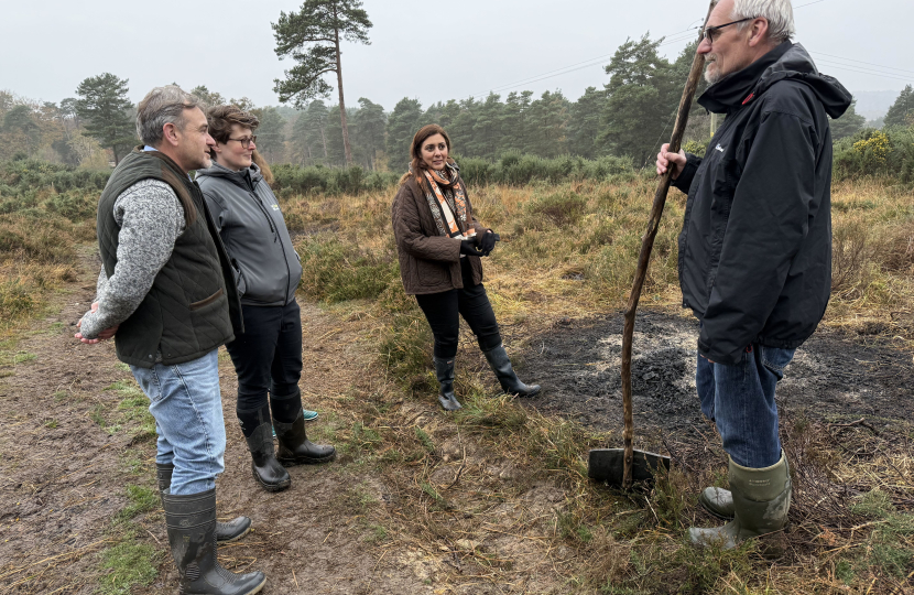 Ashdown Forest II