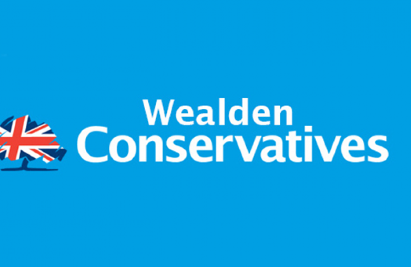 Wealden conservatives