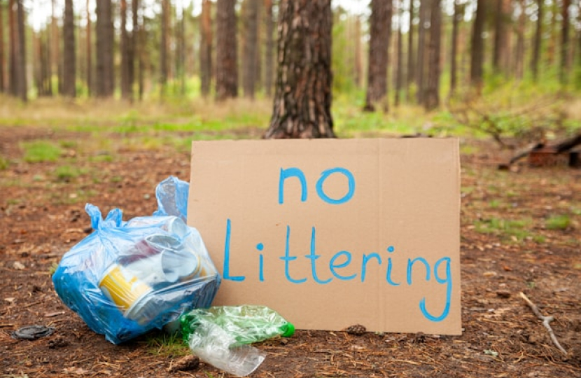 Spring Clean Campaign