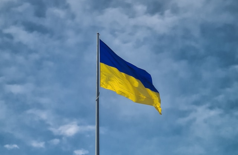 Ukraine Flag