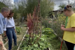 Nusrat Ghani meeting the Community Gardeners