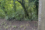 Cuckoo Trail