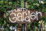 Community Garden