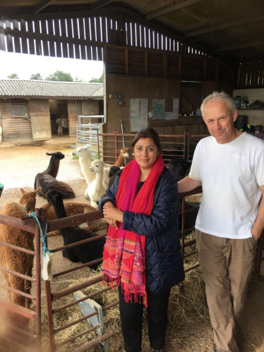 Spring Farm Alpacas