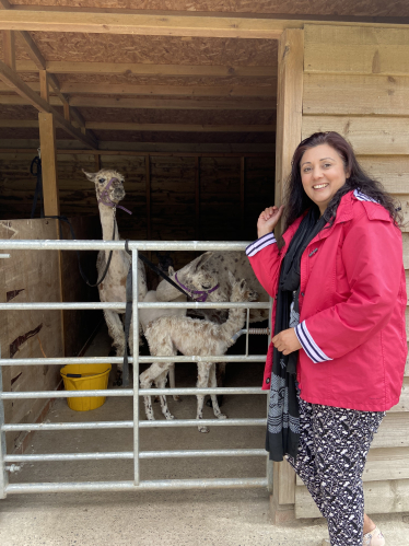 The Llama Park