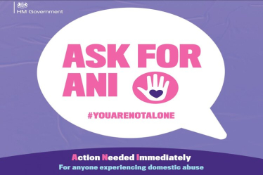 Ask for Ani