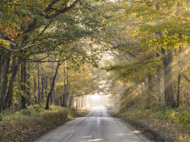 Road