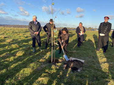 Tree planting ceremony