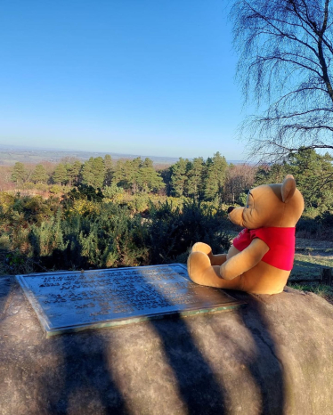 Winnie the Pooh
