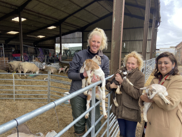 South Brockwells Farm