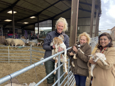 South Brockwells Farm