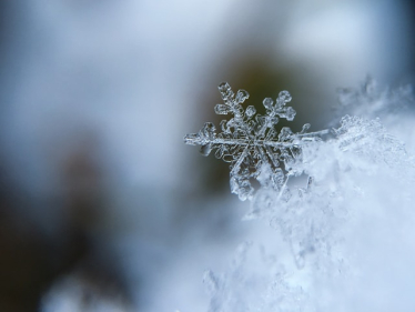 snow