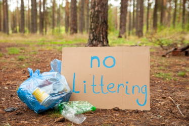 Spring Clean Campaign