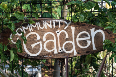 Community Garden